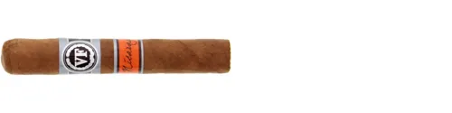 robuto.jpeg